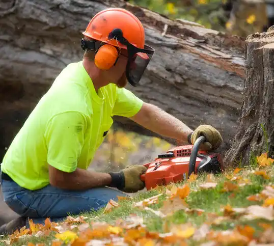 tree services Pontiac